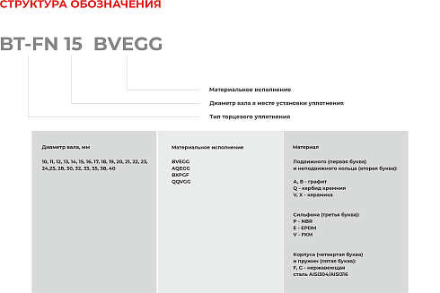 Торцевое уплотнение BT-FN 40 QQVGG в Екатеринбурге фото